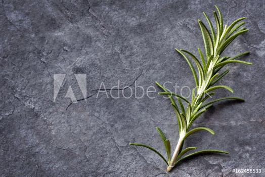 Picture of Rosemary on Slate Top View